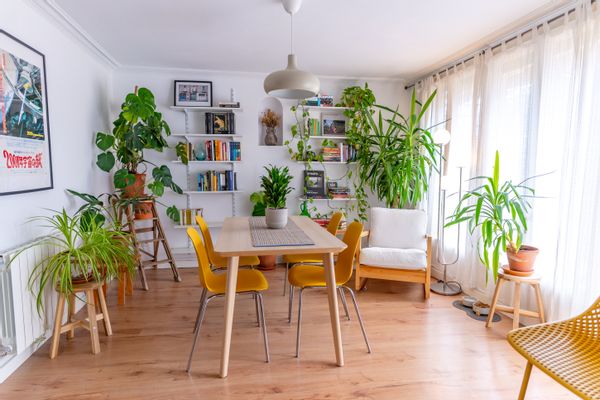 Casa de David